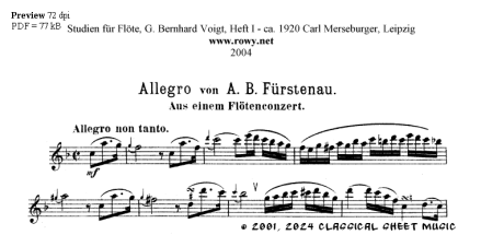 Thumb image for Allegro Flotenconzert
