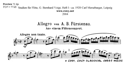 Thumb image for Allegro Flotenconzert