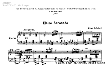 Thumb image for Kleine Serenade